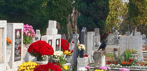 Screenshot 2024 02 04 at 21.14.07.png