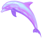 dolphin2.png