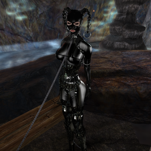 Snapshot 046.2