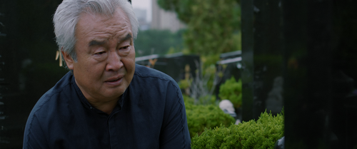 第01集 叫我郑先生 hls5hd4 sdr hbr bit10 hq default.mkv 20240205 155348.929.png