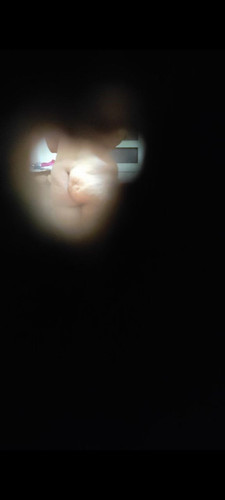 IMG 20240204 063841 297.jpg