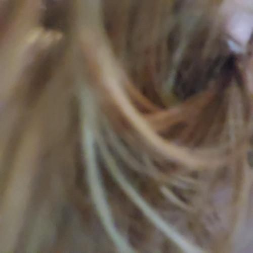 17070246857635771235299293746754.jpg