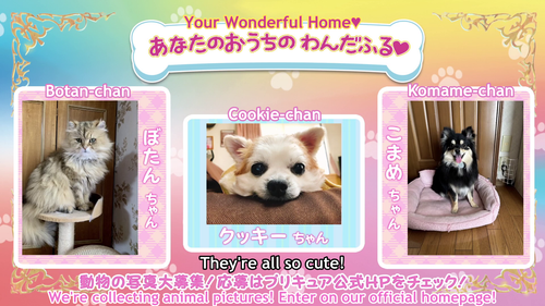 vlcsnap 2024 02 03 22h22m54s716.png