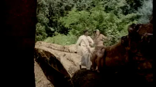 f 166.webp