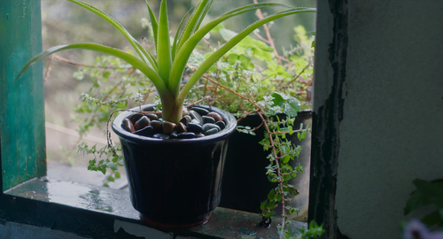 Moonlight.Warrior.2023.2160p.WEB DL.H265.DDP5.1 CHDWEB.mkv 20240204 185754.011.png