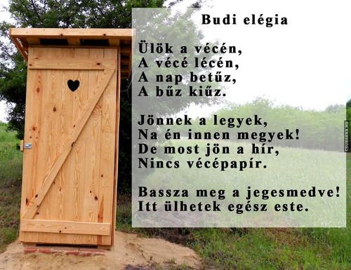 budielegia.jpg