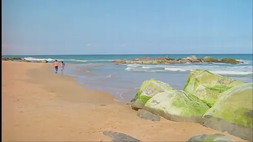 f 249.webp