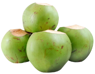 coconut.png