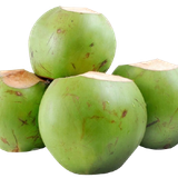 coconut