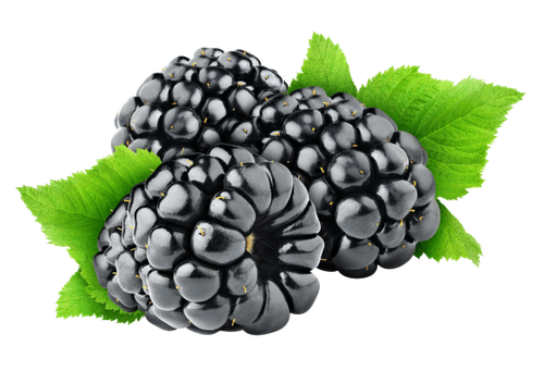 blackberry.png