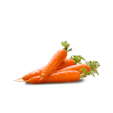 carrot