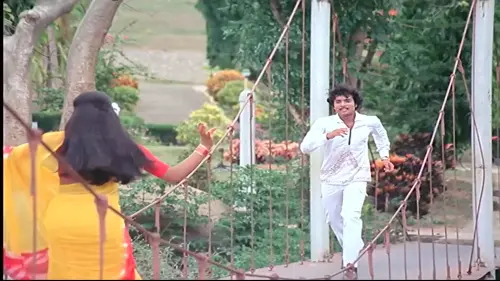 f 177.webp