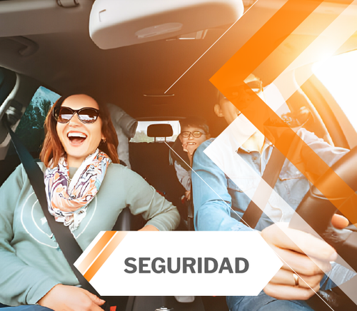 lanfox seguridad.png