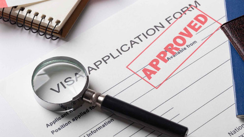 The Effects of the H-1B Visa Programme on the American Economy.jpg