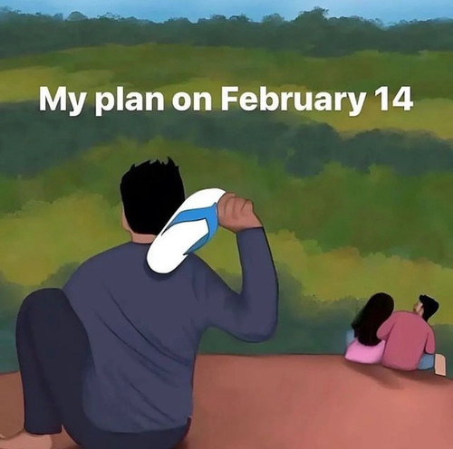  single Follow sarcasmlover best my plan 235.jpg