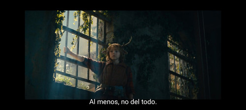 Screenshot 20240204 130410 VLC.jpg