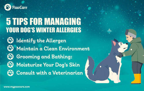 5 Tips for Managing Your Dog's Winter Allergies.jpg