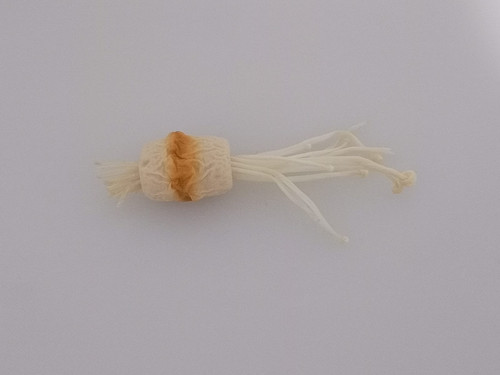 IMG 20240205 WA0003.jpg