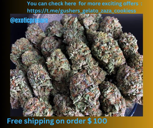 Free shipping on order $ 100.png