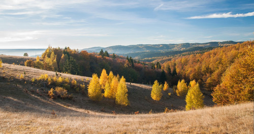 280526744 10222311293914408 752018482235251172 n.jpg