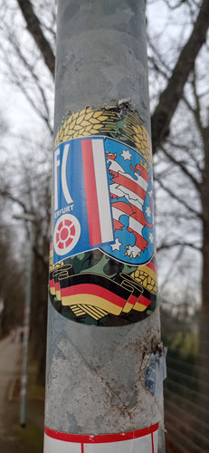 IMG 20240130 154405.jpg