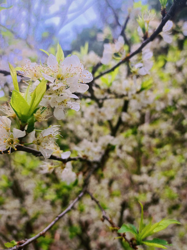 MTXX MH20240204 152256738.jpg