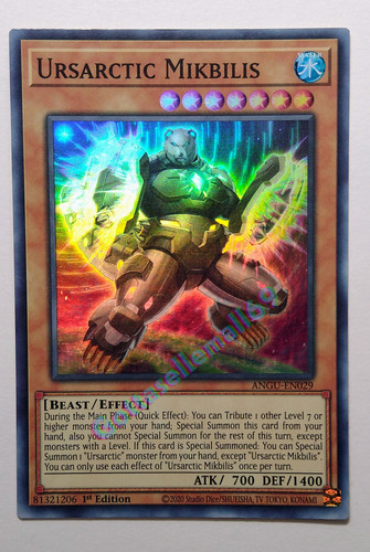 IMG 20240203 160556031.jpg