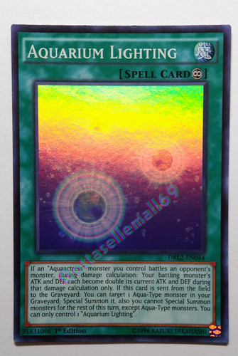 IMG 20240203 161346499.jpg