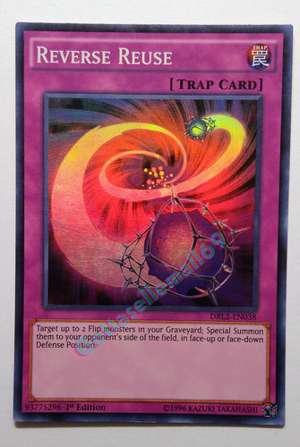 IMG 20240203 161229281.jpg