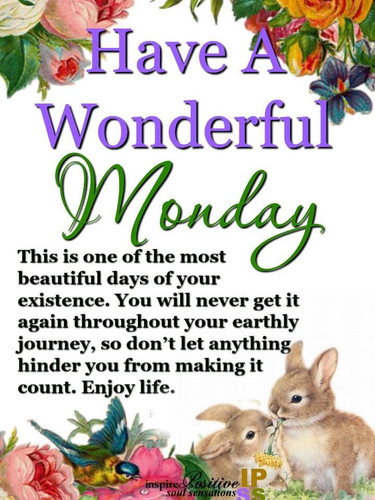 352724 Have A Wonderful Monday.jpg
