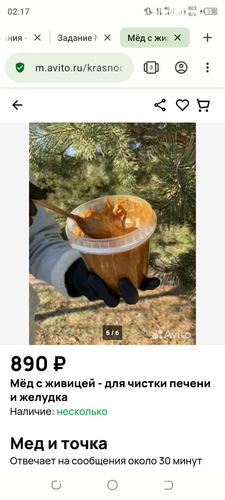Screenshot 20240206 021747.png