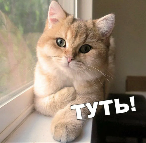 1707475677180.png
