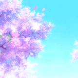 20240209 073152.gif