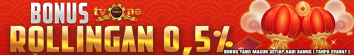 4 BONUS ROLLINGAN 0,5%.png