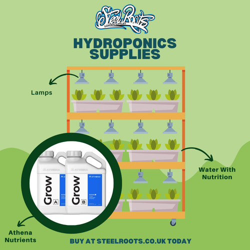 Steel Roots: Cultivate Success with Innovative and Efficient Hydroponics Systems Solutions..png