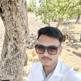 1689146010785 proimage.png