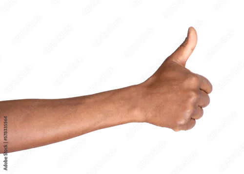 1000 F 578335564 uVlZk6S651650o2EB1PCyq6bUx8BS5hs.webp