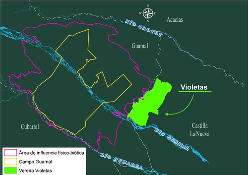 las violetas.jpg