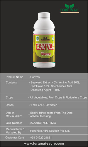 WhatsApp Image 2024 02 12 at 7.41.22 AM.jpg