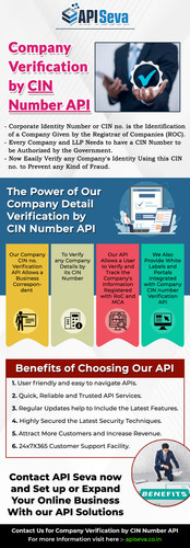 Get Company Detail Verification by CIN Number API Service in India.jpg