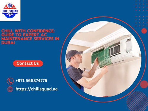 Chill with Confidence: Guide to Expert AC Maintenance Services in Dubai.jpg