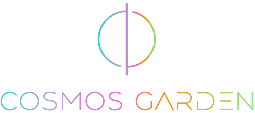 logo3 Fond transparent Plan de travail 1 (2).png