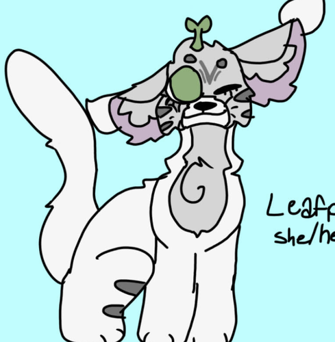 Screenshot 2024 02 11 at 7.42.59 AM.png