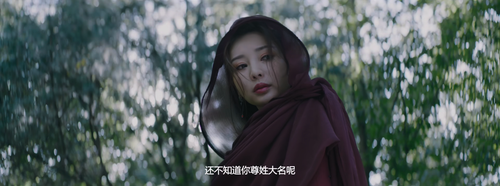 Tai.Chi.Master.2022.2160p.WEB DL.AAC.H265.HDR MISS.mkv 20240206 125706.356.png