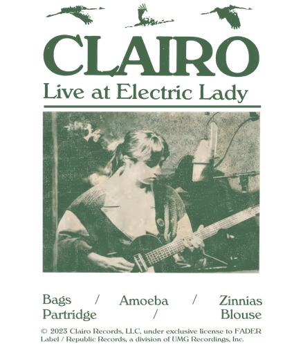 Clairo Sling Album Live At Electric Lady a 4200.png