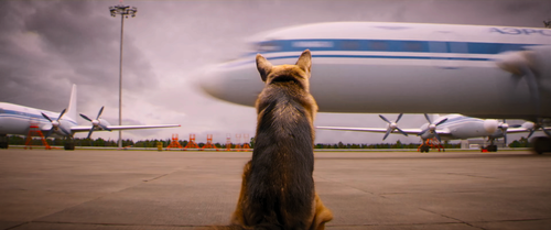 Palma.2021.2160p.WEB DL.DDP5.1.H265.HDR MISS.mkv 20240206 140605.003.png