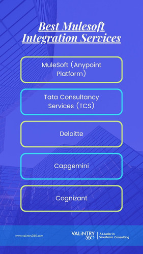 Best Mulesoft Integration Services.jpg