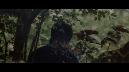 [龙争虎斗].Enter.the.Dragon.1973.USA.UHD.BluRay.2160p.x265.10bit.HDR.Atmos.TrueHD.7.1.3Audios CMCT.mkv.s.png