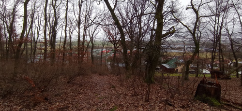 IMG 20240207 081847.jpg