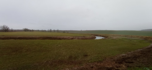 IMG 20240207 090706.jpg